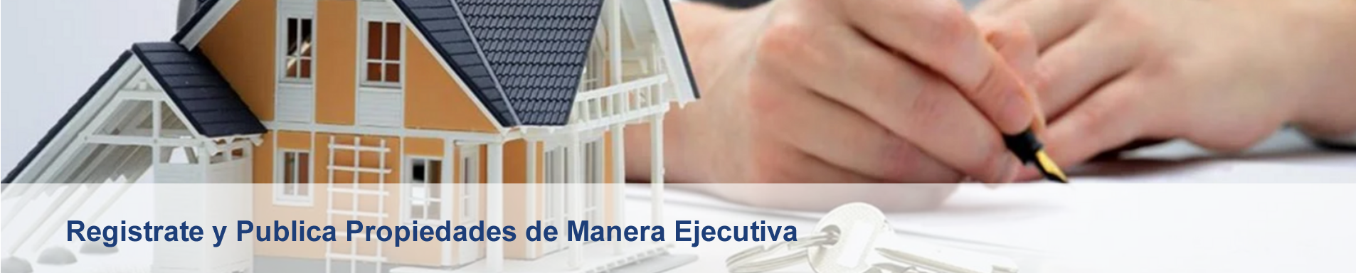 Plan Ejecutivo